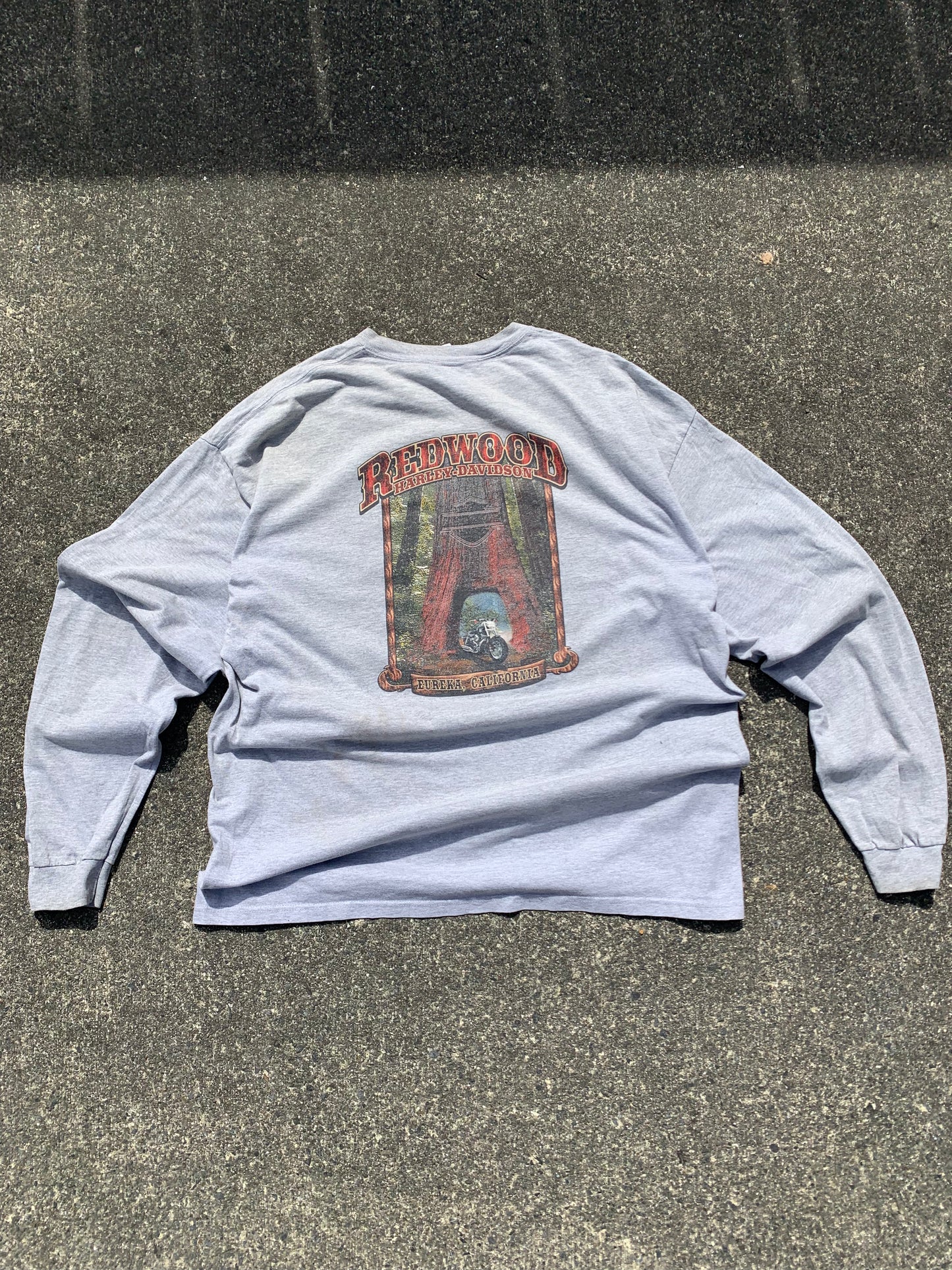 Vintage 90s Harley Davidson Redwood Run Route 50 Long Sleeve T-Shirt